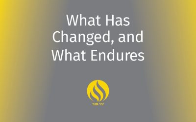 What Has Changed and What Endures: Three Alumni Reflect on Three Years After October 7